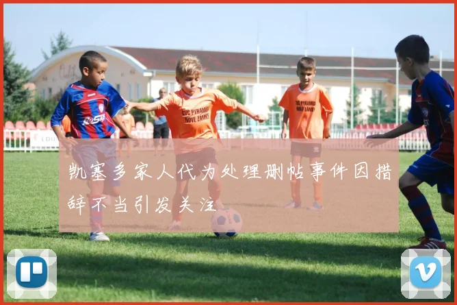 凯塞多家人代为处理删帖事件因措辞不当引发关注