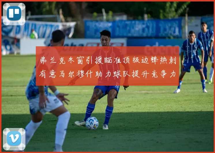 弗兰克冬窗引援瞄准顶级边锋热刺有意马尔穆什助力球队提升竞争力