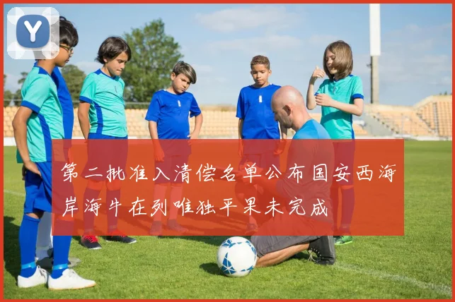 第二批准入清偿名单公布国安西海岸海牛在列唯独平果未完成